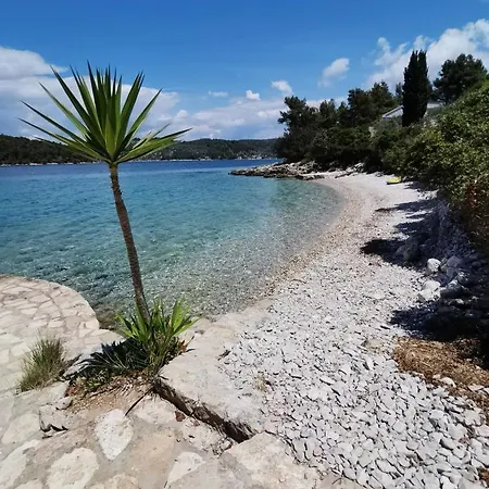 Casa de Férias Tina's House *