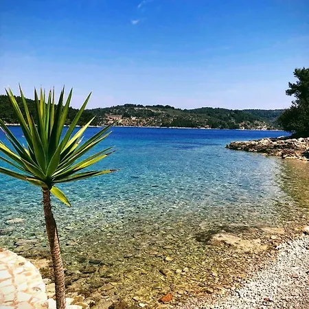 Tina's House Hébergement de vacances *