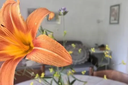 Casa de Férias Tina's House